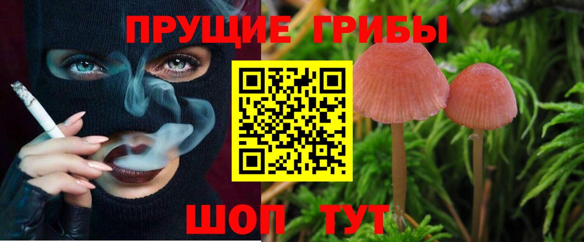 Галлюциногенные грибы прущие грибы  Псилоцибиновые грибы прущие грибы  Майкоп  Вход с VPN 